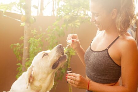 Hvad er CBD olie? En introduktion til de terapeutiske fordele